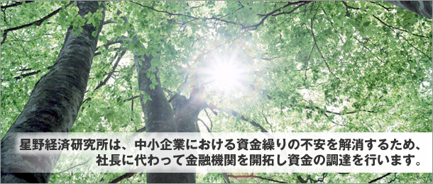 星野経済研究所は、中小企業における資金繰りの不安を解消するため、社長に代わって金融機関を開拓し資金の調達を行います。【星野経済研究所】トップイメージです。 